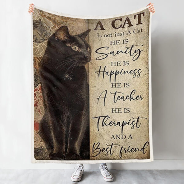 Blanket With Cats On It – A Cat Is Not Just A Cat – Black Cat – Cat Blanket For Couch – Cat Fleece Blanket – Furlidays