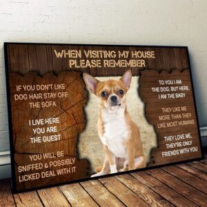 Chihuahua Please Remember When Visiting Our House Poster Dog Wall Art Poster To Print Housewarming Gifts 1