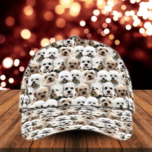 Chinese Crested Dog Cap – Hats For Walking With Pets – Dog Hats Gifts For Relatives