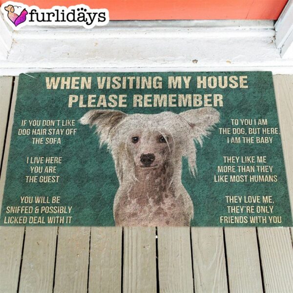 Chinese Crested’s Rules Doormat – Housewarming Gifts – Christmas Gift For Pet Lovers