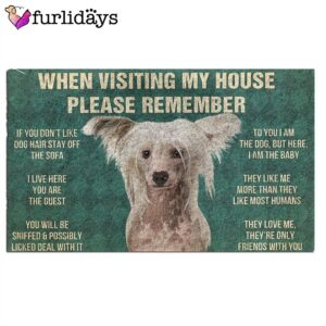 Chinese Crested s Rules Doormat Housewarming Gifts Christmas Gift For Pet Lovers 2