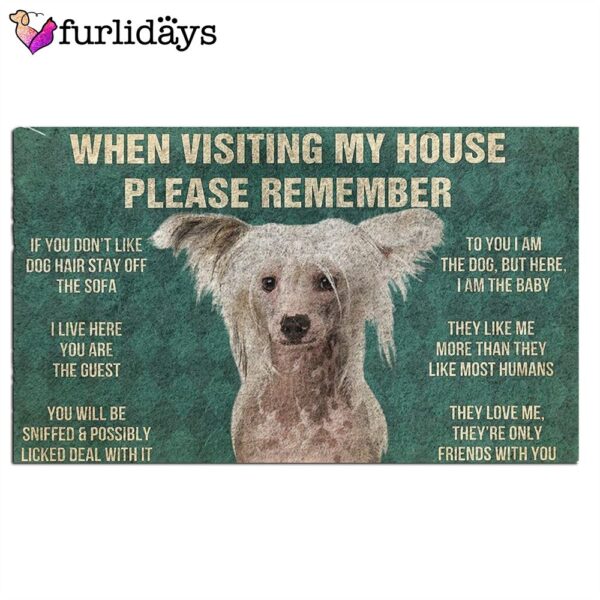 Chinese Crested’s Rules Doormat – Housewarming Gifts – Christmas Gift For Pet Lovers
