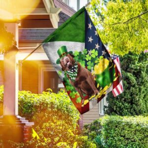 Chocolate Labrador Happy St Patrick s Day Garden Flag Best Outdoor Decor Ideas St Patrick s Day Gifts 3