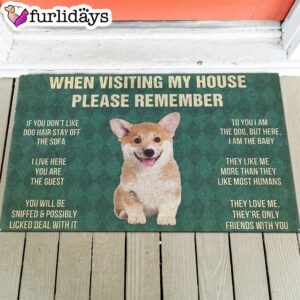 Corgi Puppy s Rules Doormat Xmas Welcome Mats Dog Memorial Gift 1