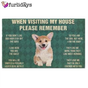 Corgi Puppy s Rules Doormat Xmas Welcome Mats Dog Memorial Gift 2