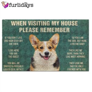 Corgi s Rules Doormat Outdoor Decor Christmas Gift For Pet Lovers 2