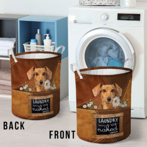 Dachshund Laundry Today Or Naked Tomorrow Daisy Laundry Basket Dog Laundry Basket Christmas Gift For Her Home Decor 2