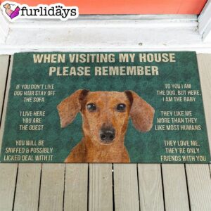 Dachshund s Rules Doormat Outdoor Decor Christmas Gift For Pet Lovers 1