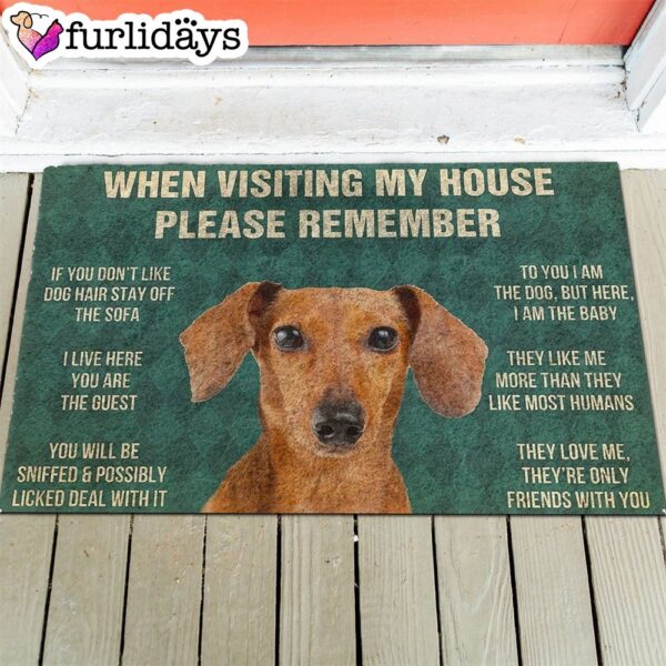 Dachshund’s Rules Doormat – Outdoor Decor – Christmas Gift For Pet Lovers