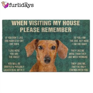 Dachshund s Rules Doormat Outdoor Decor Christmas Gift For Pet Lovers 2