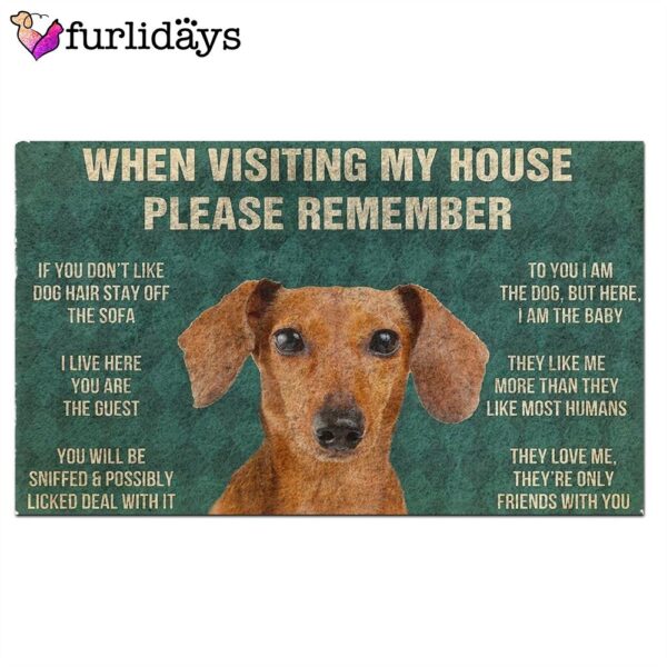 Dachshund’s Rules Doormat – Outdoor Decor – Christmas Gift For Pet Lovers