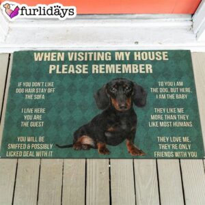 Dachshunds Puppy s Rules Doormat Outdoor Decor Christmas Decor 1