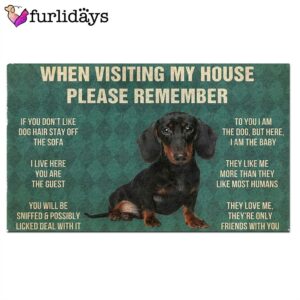 Dachshunds Puppy s Rules Doormat Outdoor Decor Christmas Decor 2