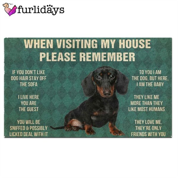 Dachshunds Puppy’s Rules Doormat – Outdoor Decor – Christmas Decor