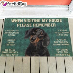 Dachshunds s Rules Doormat Housewarming Gifts Christmas Gift For Pet Lovers 1