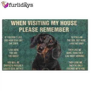 Dachshunds s Rules Doormat Housewarming Gifts Christmas Gift For Pet Lovers 2