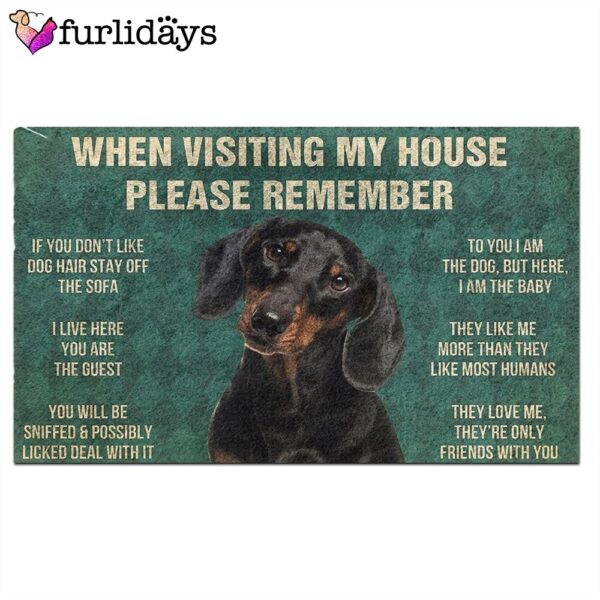 Dachshunds’s Rules Doormat – Housewarming Gifts – Christmas Gift For Pet Lovers