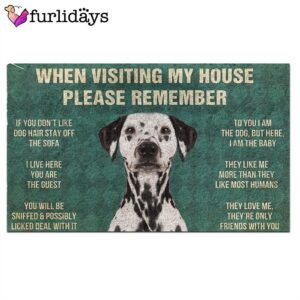 Dalmatian s Rules Doormat Outdoor Decor Christmas Gift For Pet Lovers 2