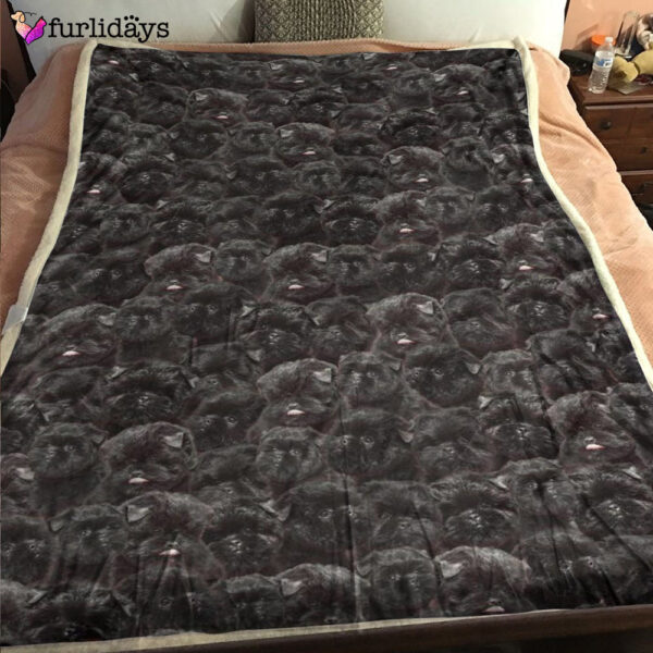 Dog Blanket – Dog Face Blanket – Dog Throw Blanket – Affenpinscher Full Face Blanket – Furlidays