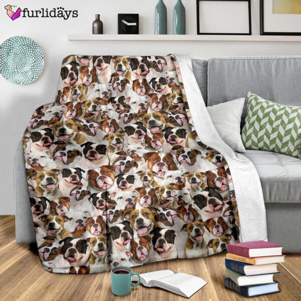 Dog Blanket – Dog Face Blanket – Dog Throw Blanket – American Bulldog 1 Full Face Blanket – Furlidays