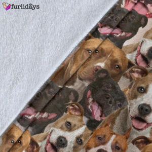 Dog Blanket Dog Face Blanket Dog Throw Blanket American Staffordshire Terrier Full Face Blanket Furlidays 5