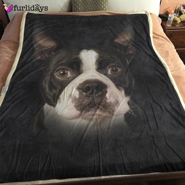Dog Blanket – Dog Face Blanket – Dog Throw Blanket – Boston Terrier Face Hair Blanket – Furlidays