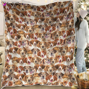 Dog Blanket Dog Face Blanket Dog Throw Blanket Brittany Full Face Blanket Furlidays 1 ae92c436 b8d9 4864 bf31 17dee742e6f1