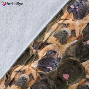 Dog Blanket Dog Face Blanket Dog Throw Blanket Bullmastiff Full Face Blanket Furlidays 5