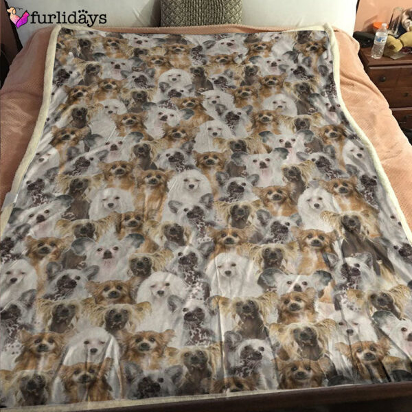 Dog Blanket – Dog Face Blanket – Dog Throw Blanket – Chinese Crested Dog Full Face Blanket – Furlidays