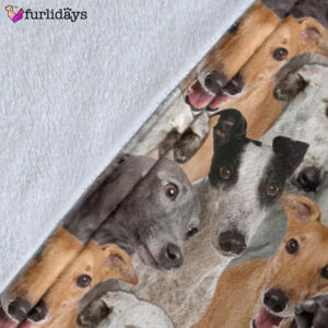 Dog Blanket Dog Face Blanket Dog Throw Blanket Greyhound Full Face Blanket Furlidays 5 05c03d55 63d7 4762 9124 1cb2554c2ebe
