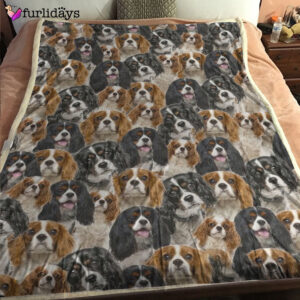Dog Blanket Dog Face Blanket Dog Throw Blanket Irish Setter Full Face Blanket Furlidays 2