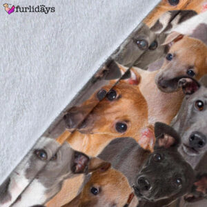 Dog Blanket Dog Face Blanket Dog Throw Blanket Italian Greyhound Full Face Blanket Furlidays 5
