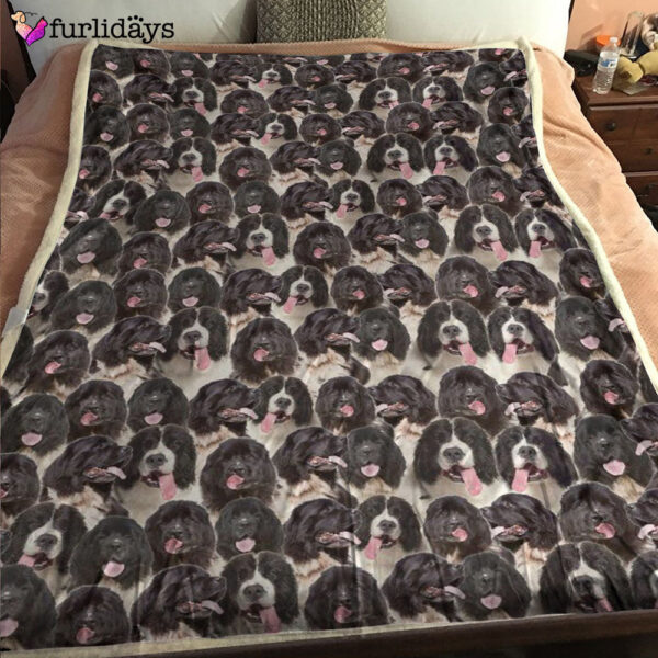 Dog Blanket – Dog Face Blanket – Dog Throw Blanket – Landseer Full Face Blanket – Furlidays