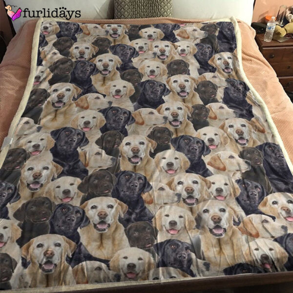 Dog Blanket – Dog Face Blanket – Dog Throw Blanket – Maltipoo Full Face Blanket – Furlidays