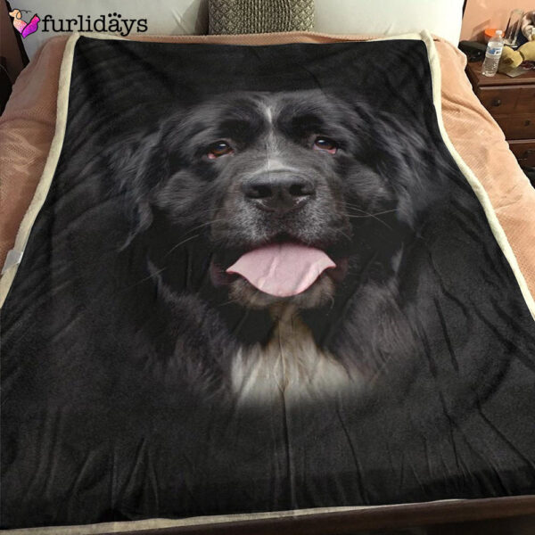 Dog Blanket – Dog Face Blanket – Dog Throw Blanket – Newfoundland Face Hair Blanket – Furlidays