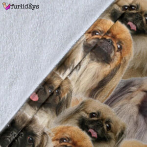 Dog Blanket Dog Face Blanket Dog Throw Blanket Pekingese Full Face Blanket Furlidays 5