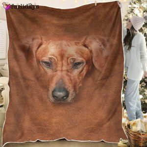 Dog Blanket Dog Face Blanket Dog Throw Blanket Rhodesian Ridgeback Face Hair Blanket Furlidays 1 0761ce90 6683 4b53 ab15 b8f835f0eb8e