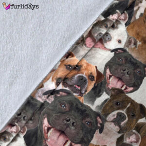 Dog Blanket Dog Face Blanket Dog Throw Blanket Staffordshire Bull Terrier Full Face Blanket Furlidays 5 3b4e2fbb 792b 43c0 bf32 b26e8e159b85
