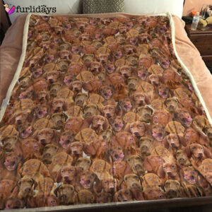 Dog Blanket Dog Face Blanket Dog Throw Blanket Vizsla Full Face Blanket Furlidays 6