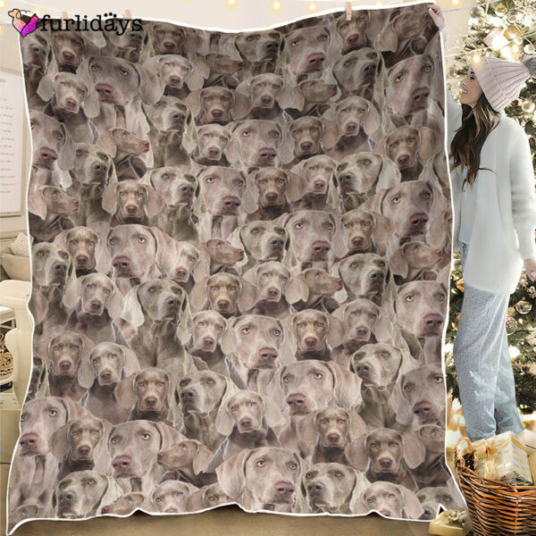 Dog Blanket – Dog Face Blanket – Dog Throw Blanket – Weimaraner Full Face Blanket – Furlidays
