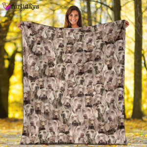 Dog Blanket Dog Face Blanket Dog Throw Blanket Weimaraner Full Face Blanket Furlidays 2 4ea4d764 3097 4509 9a1d eee2122693d3