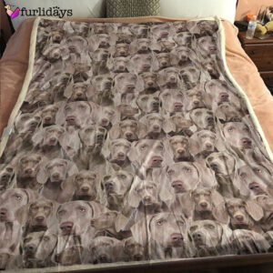 Dog Blanket Dog Face Blanket Dog Throw Blanket Weimaraner Full Face Blanket Furlidays 6 3ca7e45d 03a7 467c a8f0 37bd33d90ce9