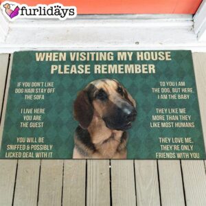 Dog s Rules Doormat Gift For Dog Lovers Outdoor Decor 1