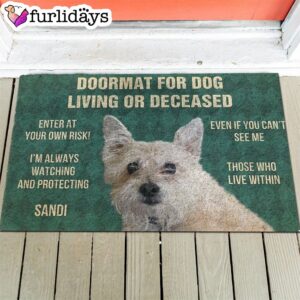 Dog s Rules Doormat Housewarming Gift Outdoor Decor Christmas Gift For Pet Lovers 1