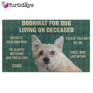Dog s Rules Doormat Housewarming Gift Outdoor Decor Christmas Gift For Pet Lovers 2
