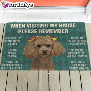 Dog s Rules Doormat Outdoor Decor Housewarming Gifts 1
