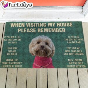 Dog s Rules Doormat Unique Gifts Doormatr Christmas Gift For Pet Lovers 1