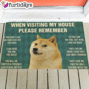 Doges s Rules Doormat Outdoor Decor Christmas Gift For Pet Lovers 1