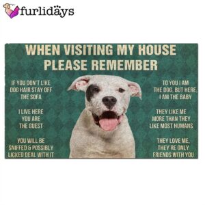 Dogo Argentino s Rules Doormat Outdoor Decor Christmas Gift For Pet Lovers 2