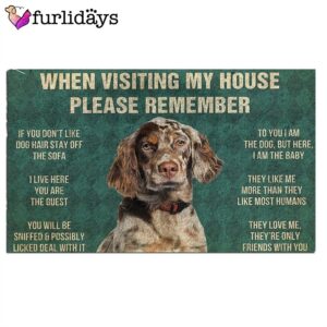English Setter s Rules Doormat Funny Doormat Christmas Holiday Gift 2